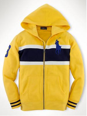 Cheap Ralph Lauren men's Hoodies wholesale No. 414